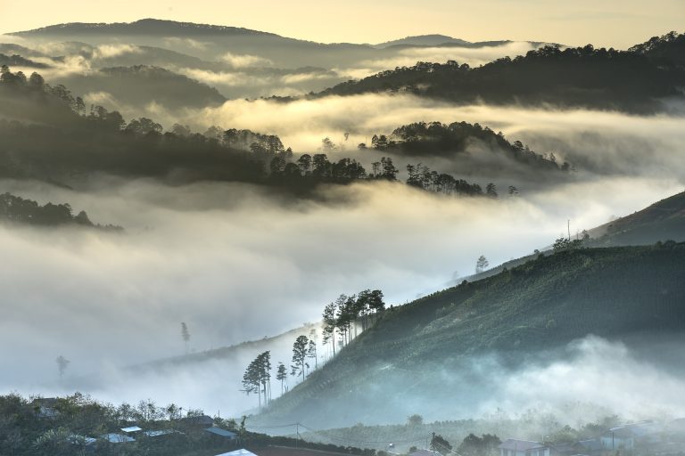 A Short Introduction To The Production Of Coffee In Kenya ...
