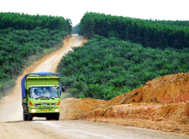 palm-oil-deforestation-plantation-scaled