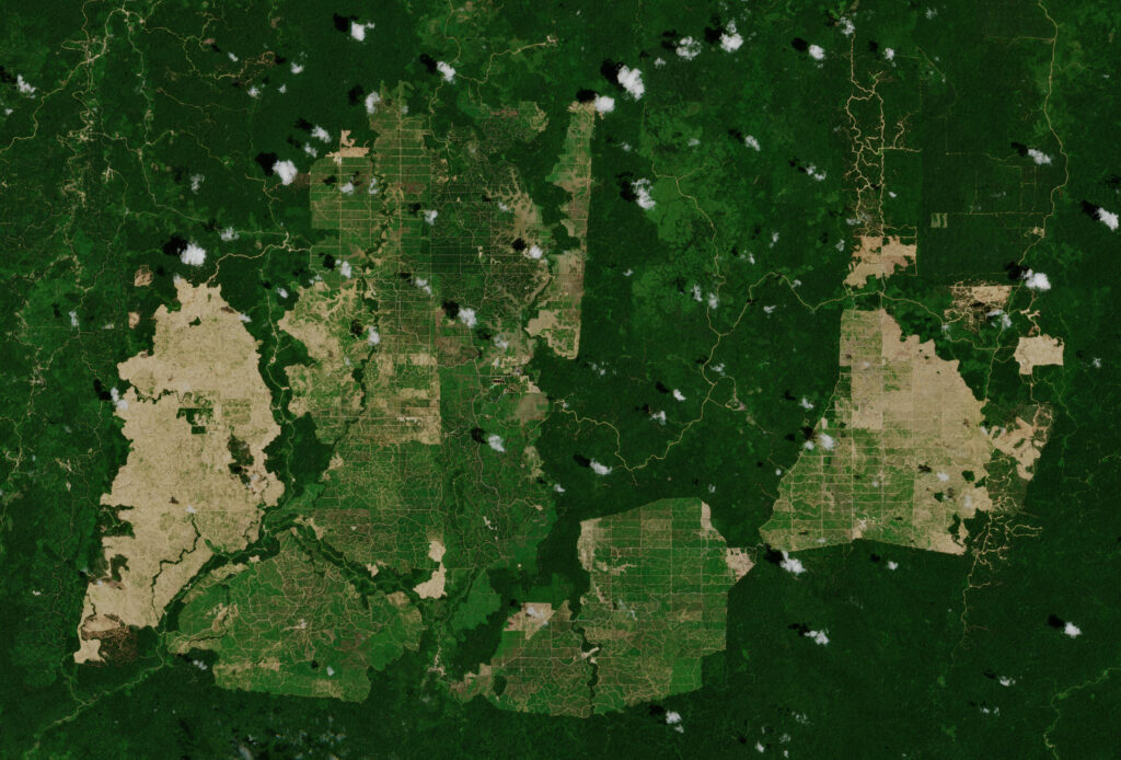 palm-oil-deforestation-plantation-east-kalimantan-indonesia