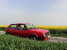 biodiesel-production-rape-seed-golf