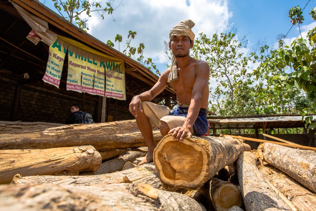 sustainable-timber-conservation-vs-economic-demands-man-sitting-trunk-cbcf-project-yogyakarta-indonesia