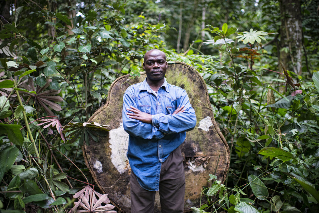 EUDR-deforestation-lumber-trade-cameroon-man-posing-tree