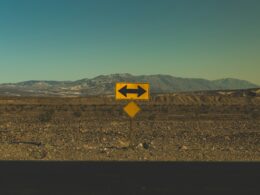 commodity-trading-vs-management-consulting-options