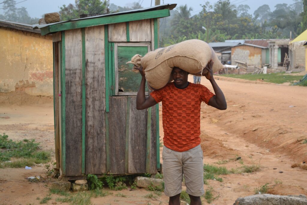 the-most-important-thing-to-know-about-commodity-trading-cocoa-beans-porter