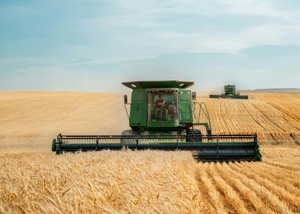 the-most-important-thing-to-know-about-commodity-trading-wheat-crop